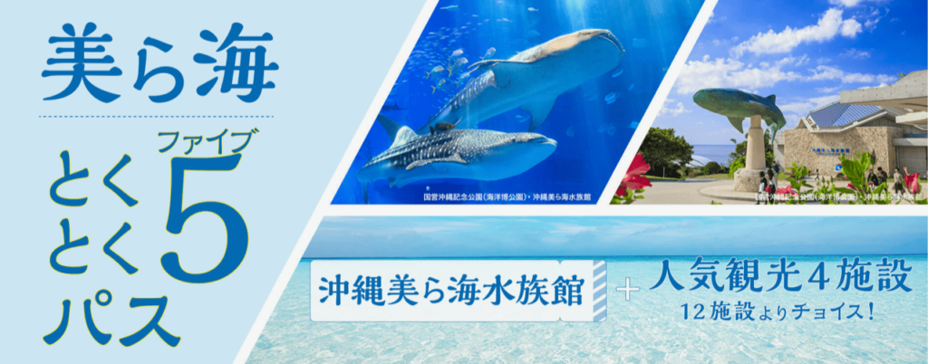 美ら海水族館のチケット割引券はどこで買う 道の駅 空港 Jaf コンビニ Jtbやドコモのデジタルチケットもお得 旅とマイルとパパとぼく